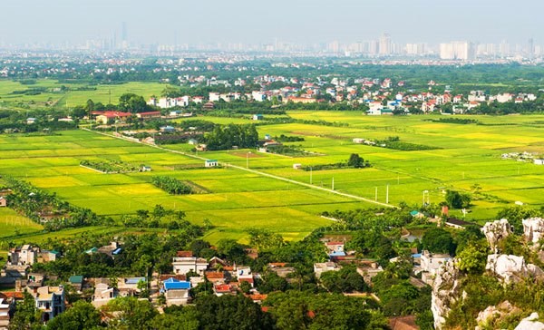 Đất ONT: Quy định pháp lý, mục đích sử dụng, thủ tục mua bán