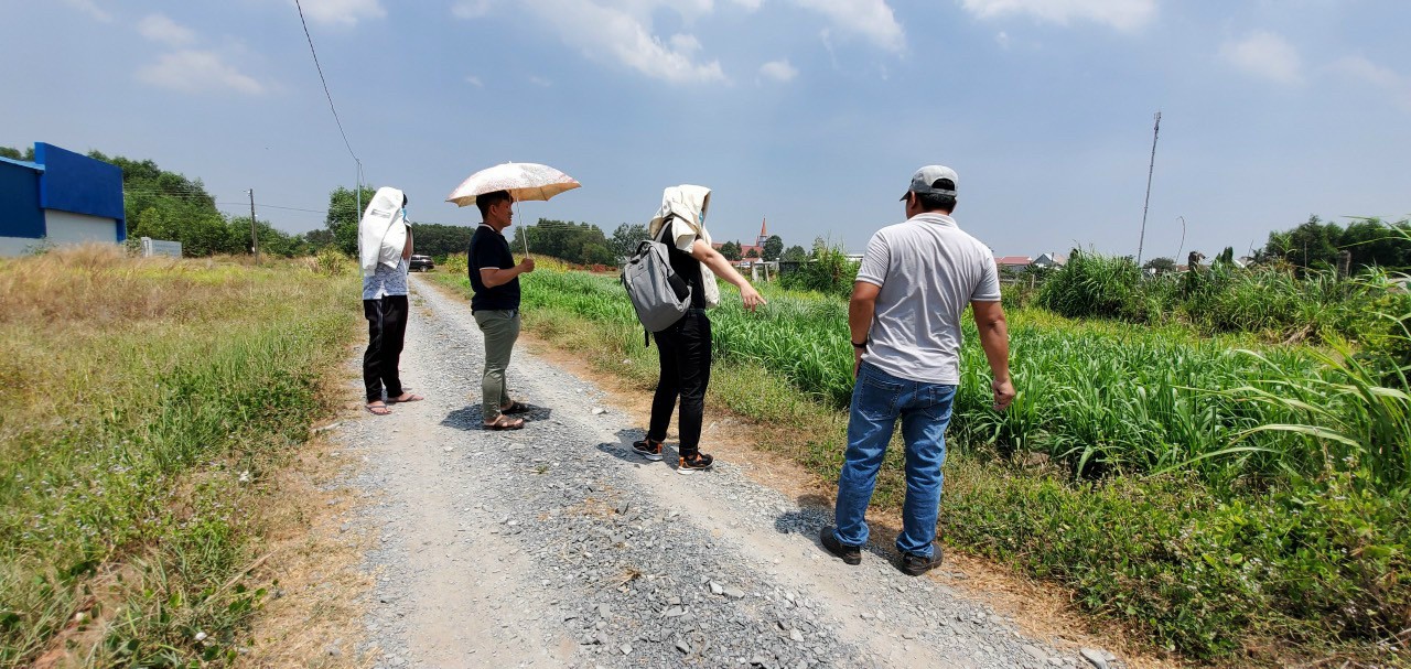 Cần tìm hiểu kỹ khi đầu tư đất trồng cây hàng năm