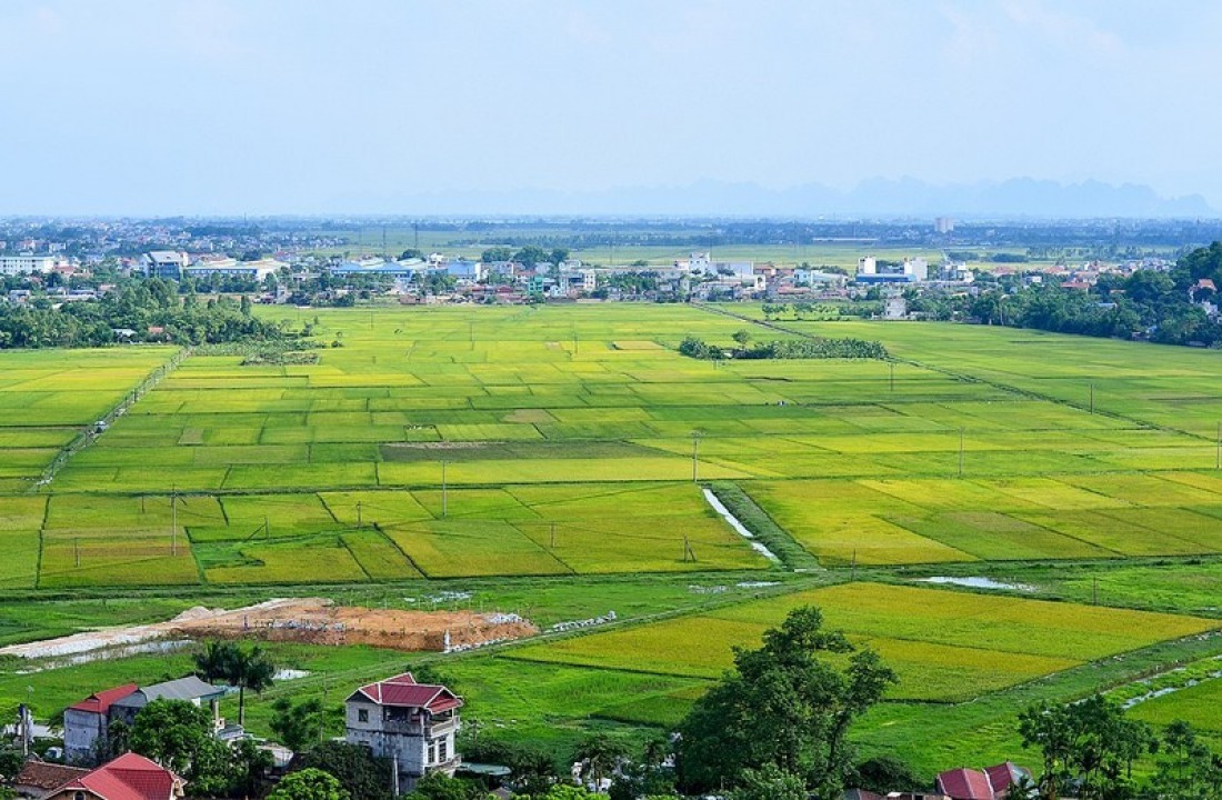 Thủ tục xin cấp đất dịch vụ